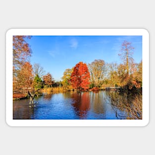 Winter Lake Scene Sticker